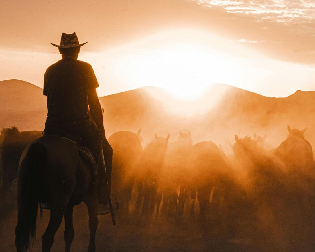 Life on the Cattle Trail - The Western Life Blog - Brag Official